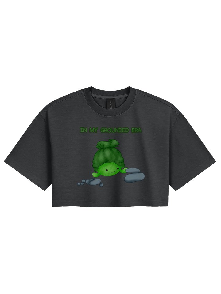 Grounded Era Premium Cropped Tee product image (3)