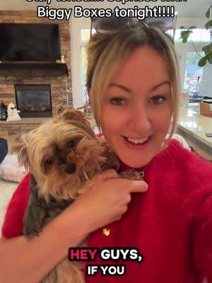 #fyp #dogsoftiktok #yorkiesoftiktok #dogs #dogmomlife 