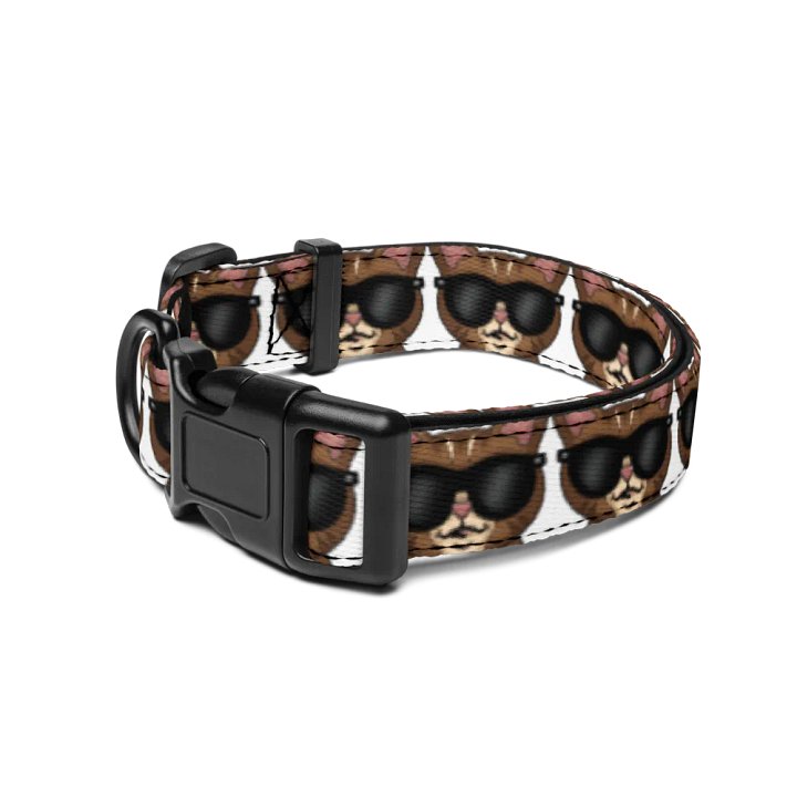 Cool Reggie Pet Collar product image (2)