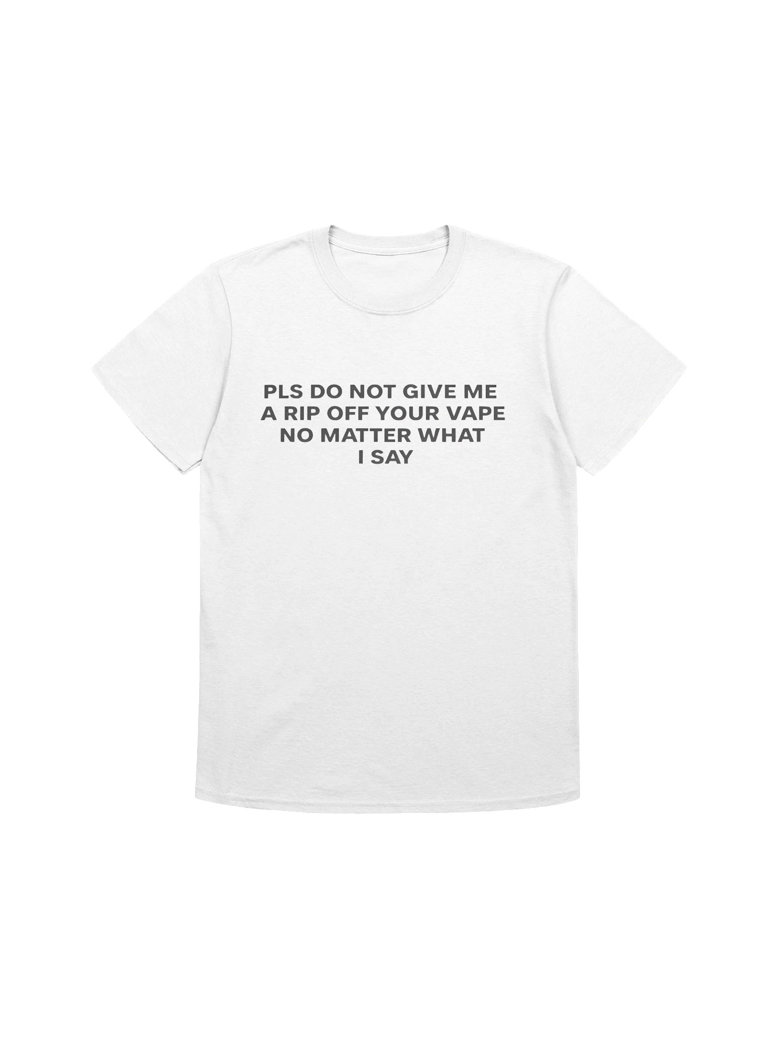 Please Do Not Give Me a Rip Off Your Vape No Matter What I Say Shirt product image (1)
