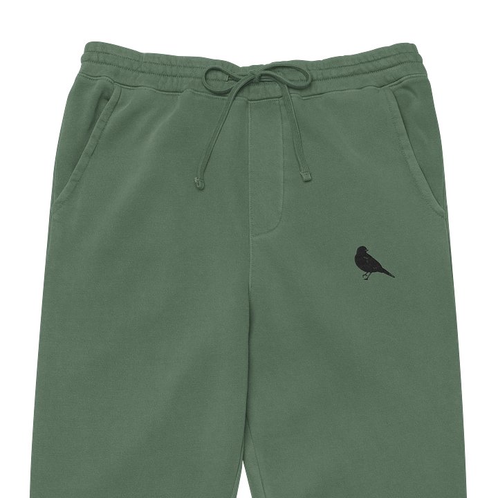 Pigment Dyed Comfort: Ultra Soft Joggers product image (1)