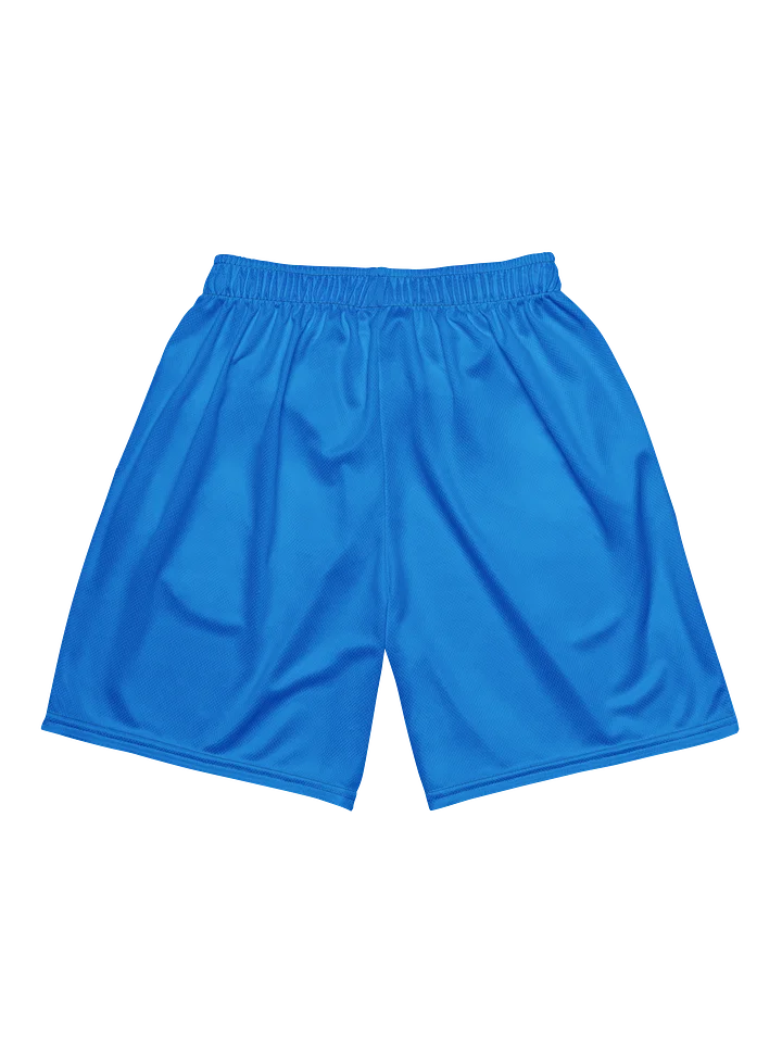 Barrio de Colores FC Home Shorts product image (2)