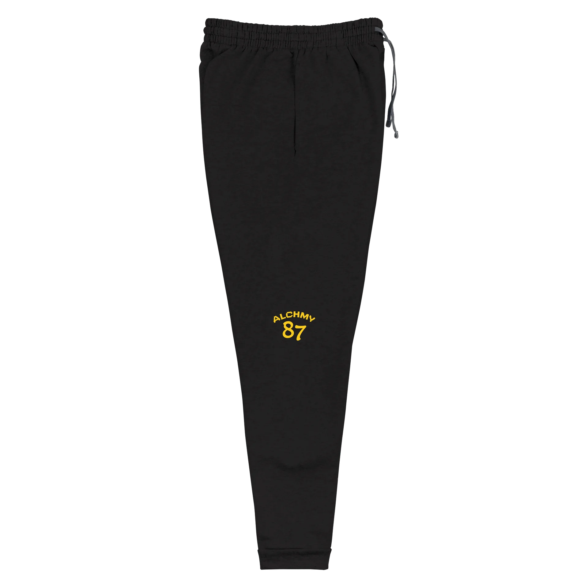 Dark Science University | DSU 87 Joggers product image (6)