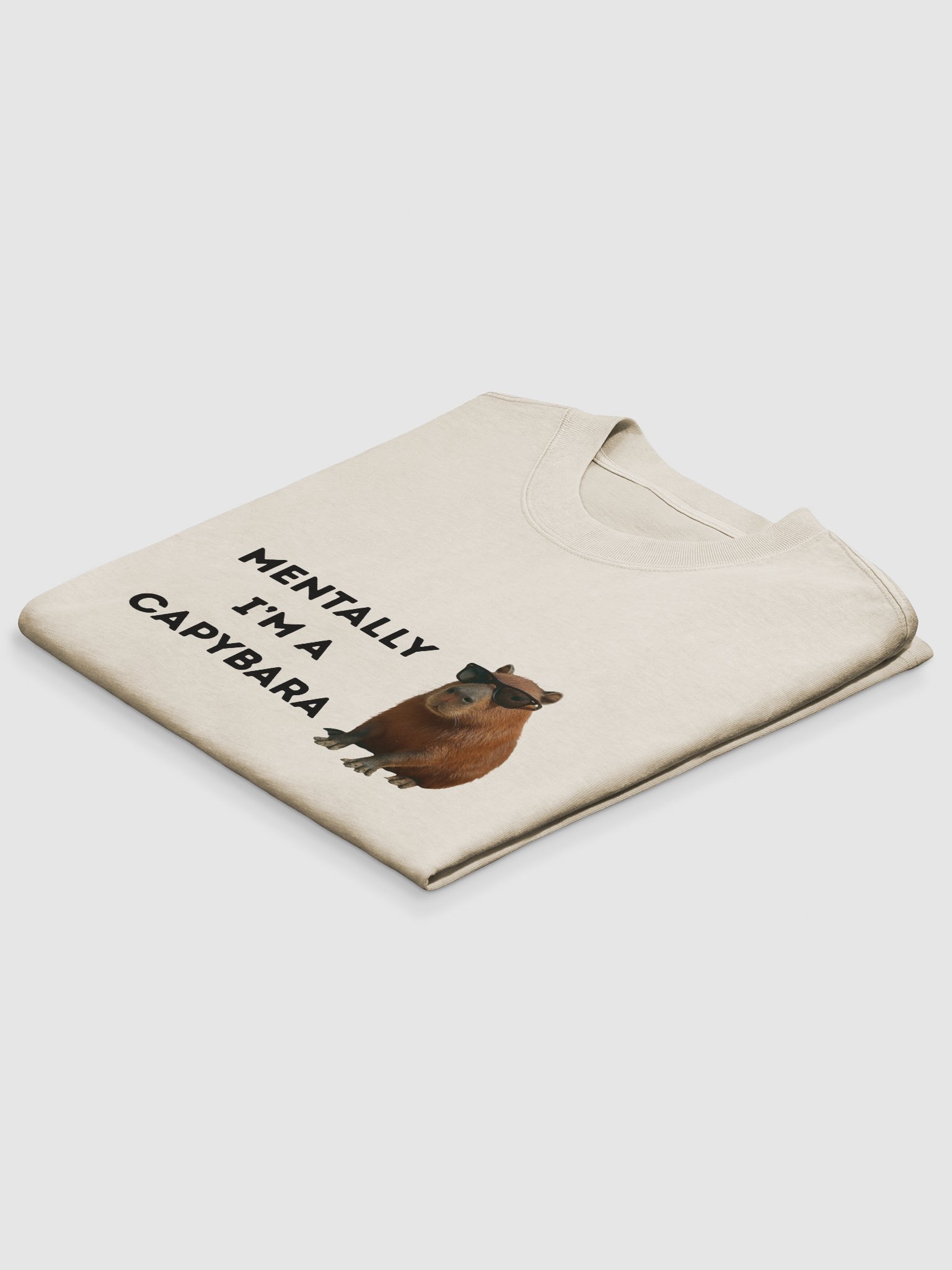 Lazy Days Capybara Graphic T-shirt product image (4)