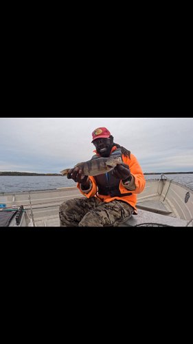 Fastest yellow perch of the season 😂 been catching a lot of perch not much walleye.

the bites were slow at first but, I figu...