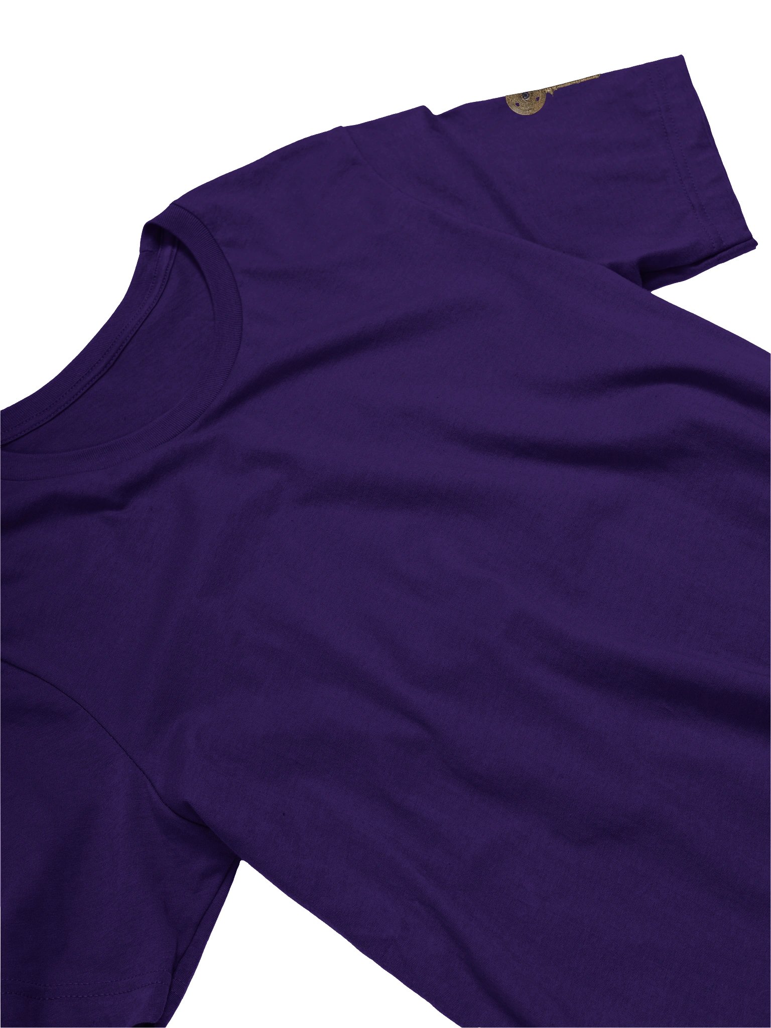 The Gatekeeper’s Key Classic T-Shirt – Back & Left Shoulder Print | Team Purple | Bella+Canvas 3001 product image (3)