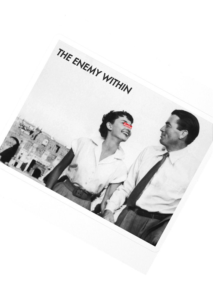 The Anti-Fascionista Sticka product image (2)