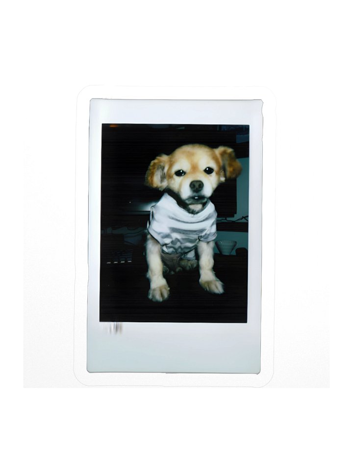 Polaroid F Sticker product image (1)