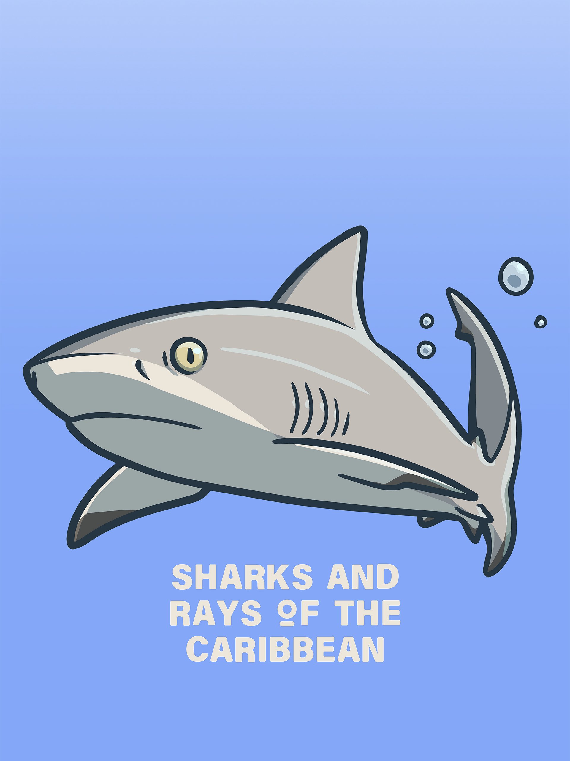 Sharks and Rays of the Caribbean - Icon Pack product image (3)