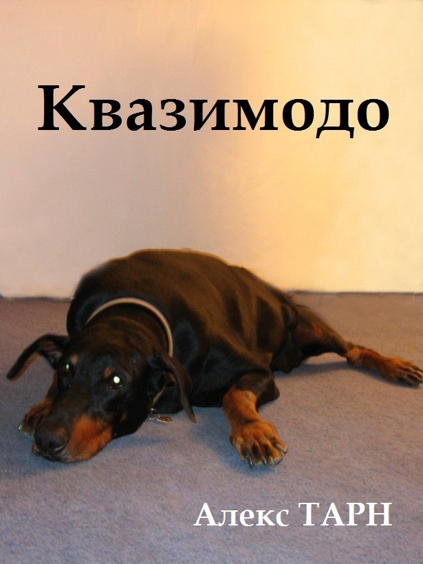 Квазимодо product image (1)