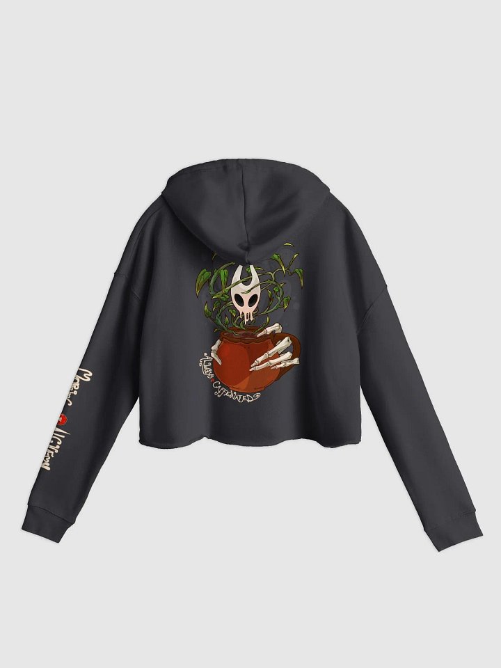 Morning Alchemy Lightweight Cropped Hoodie product image (2)