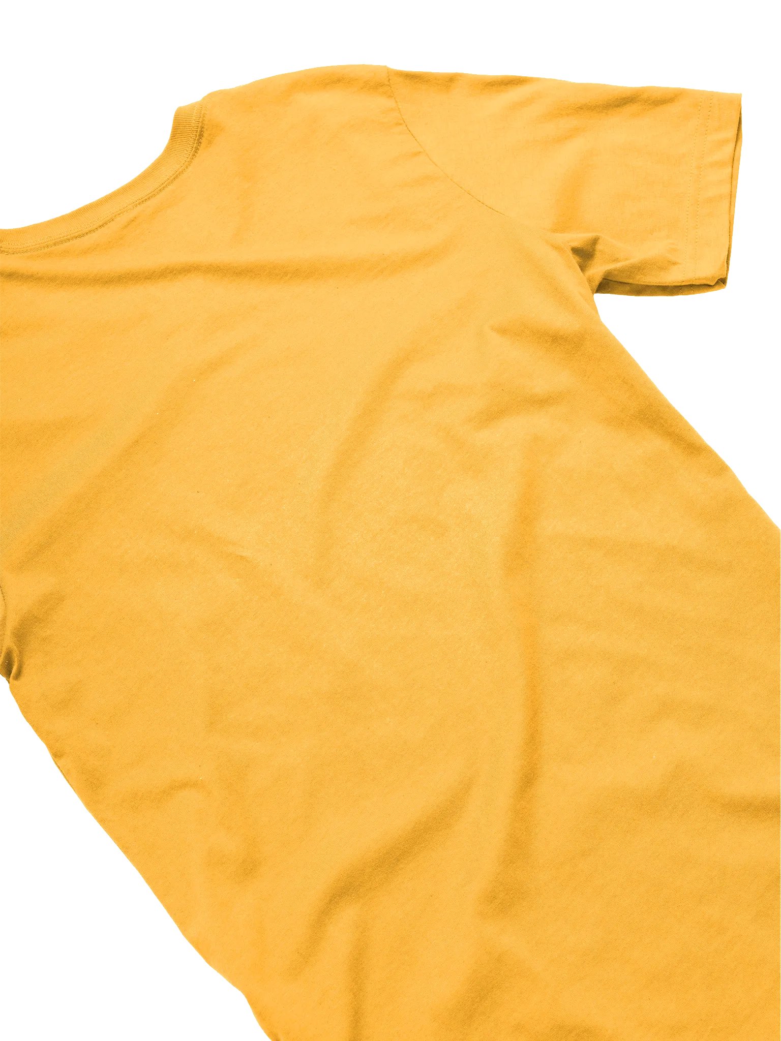 "That Georgia Gold" Album Cover Tee product image (15)