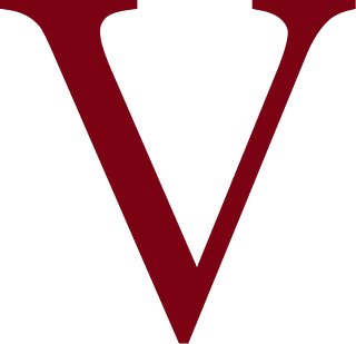 Veylor | Streetwear for Creators, Artists & Misfits
