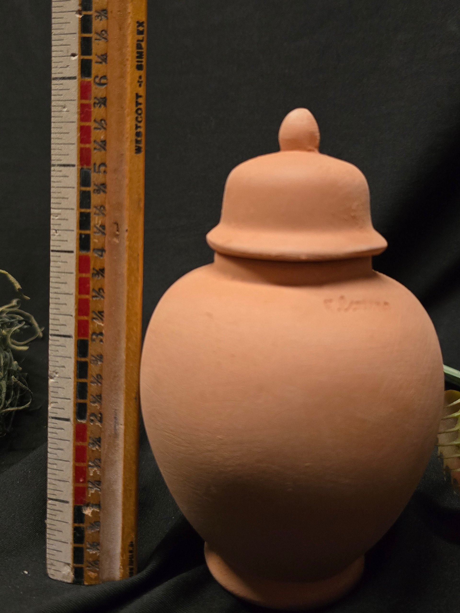 Terracotta Houseplant Olla Watering System-Gothic Top product image (5)