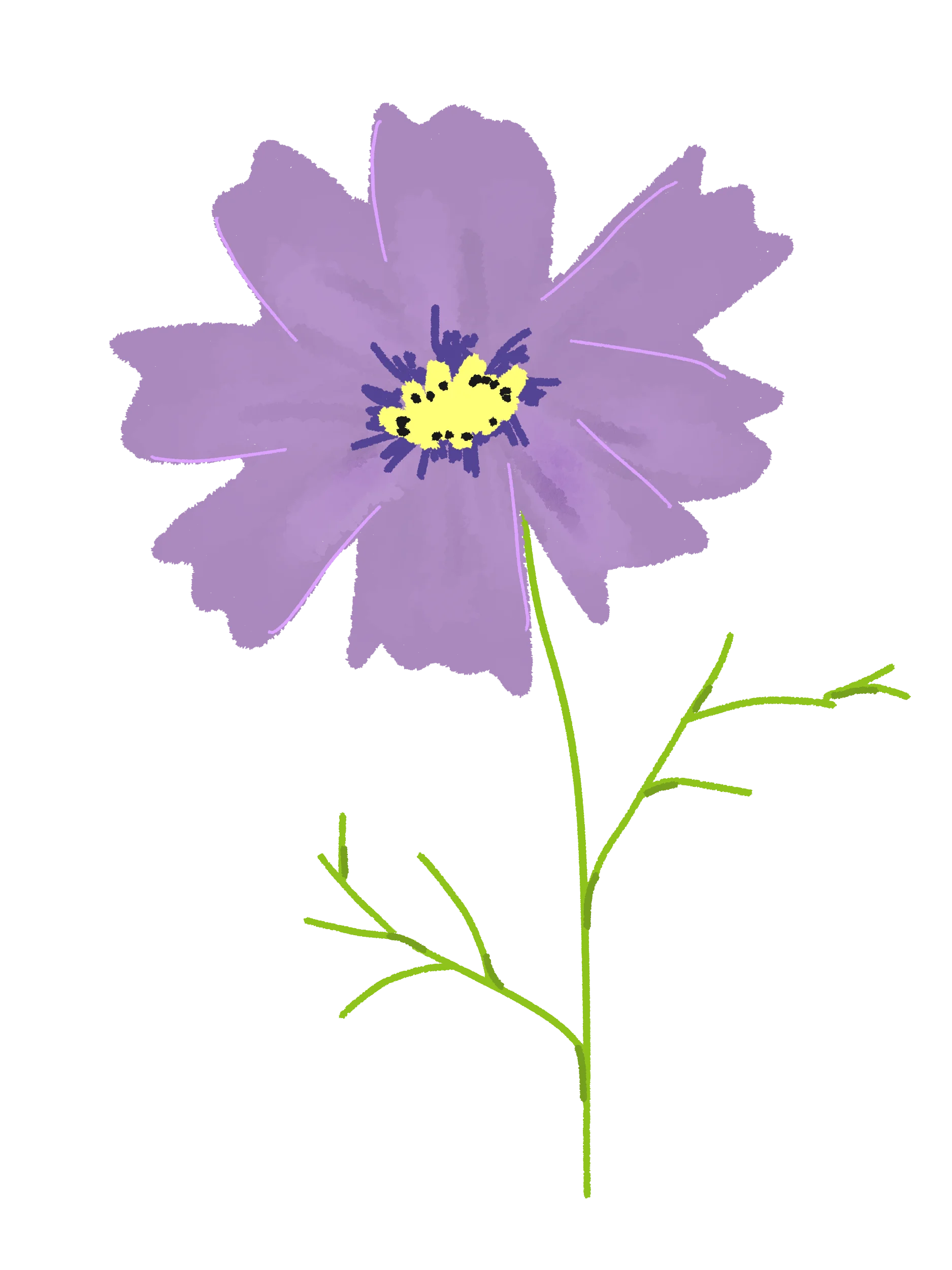 20 Hand-Drawn Flower & Botanical PNG Clipart Bundle product image (3)
