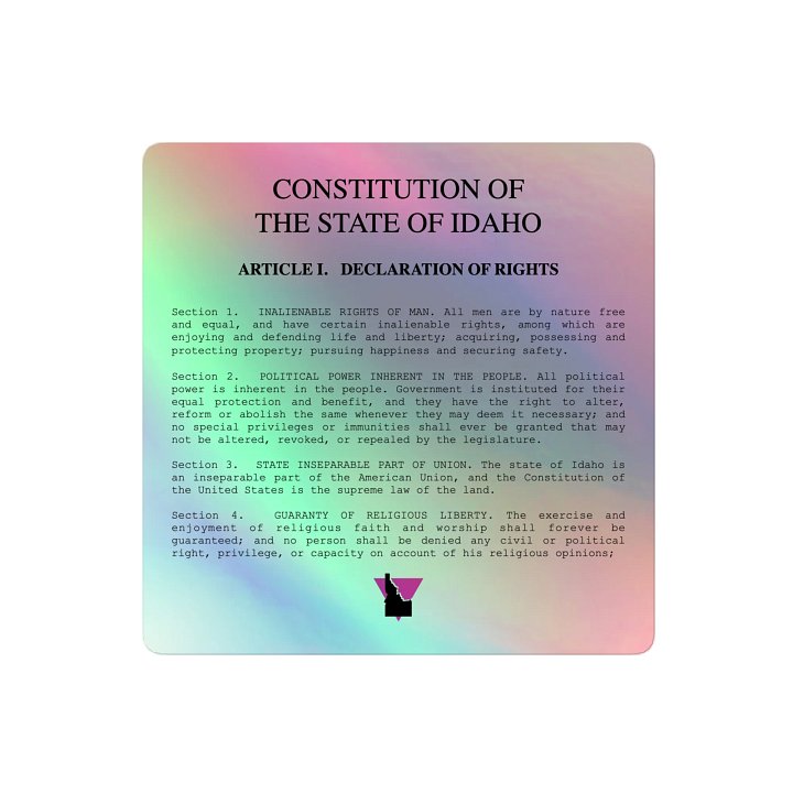 "DECLARATION OF RIGHTS" light holo sticker product image (2)