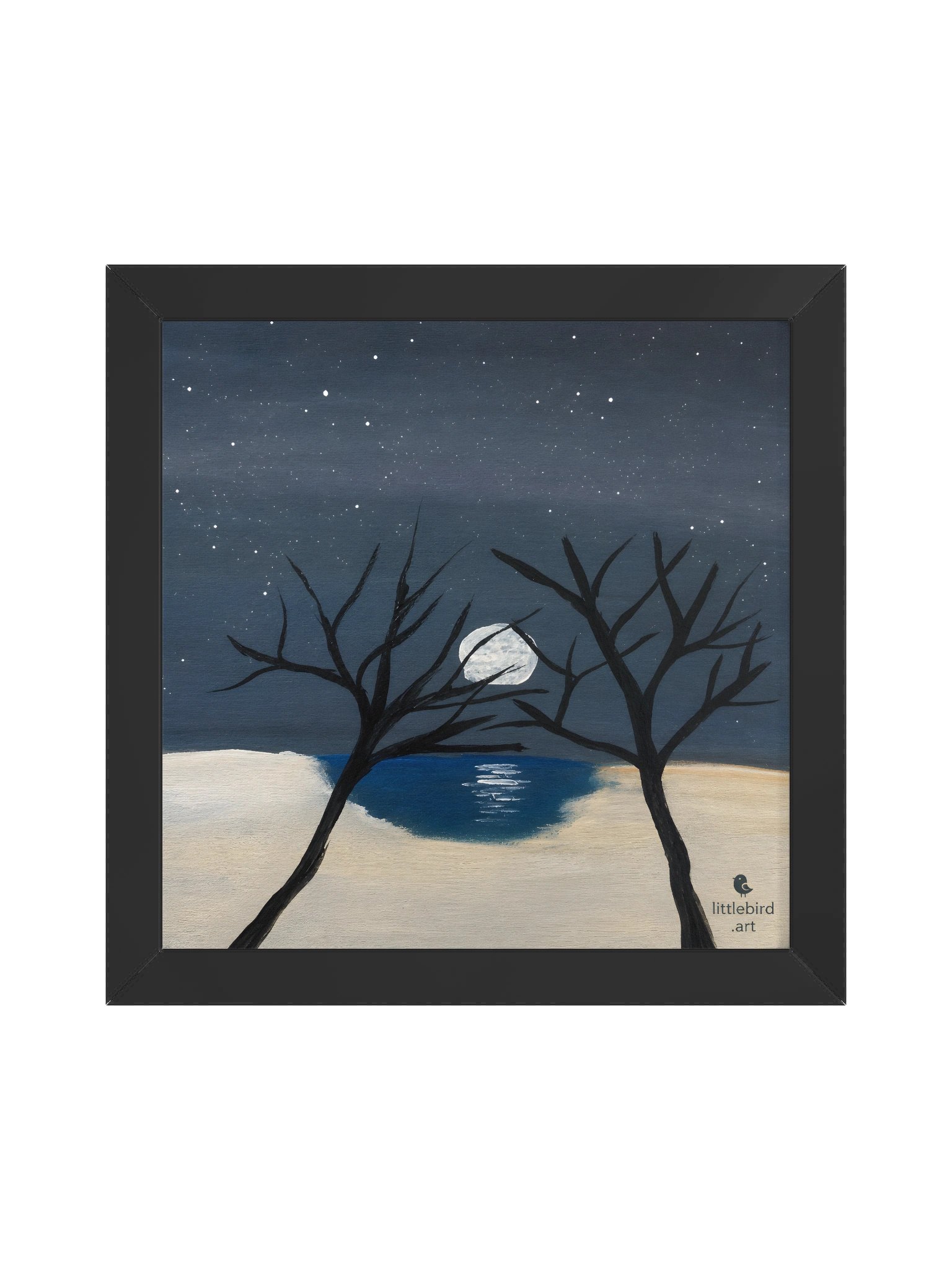 Winter Moon Reflection product image (1)