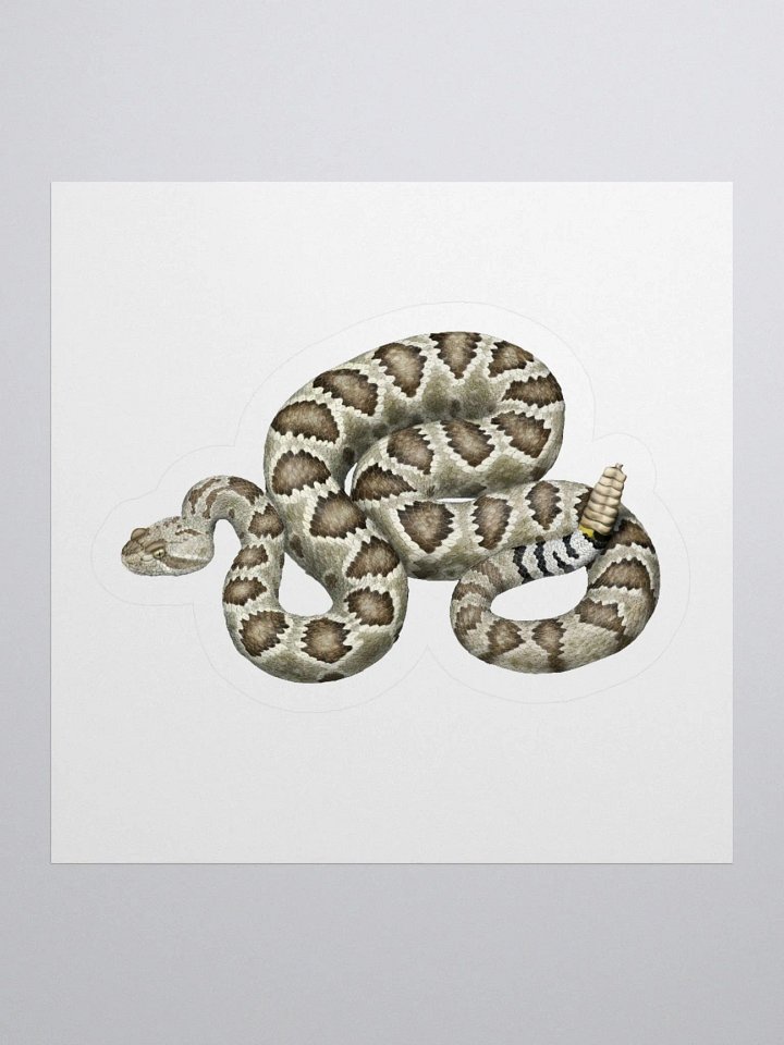 Die-Cut Sticker – Mojave Rattlesnake product image (1)