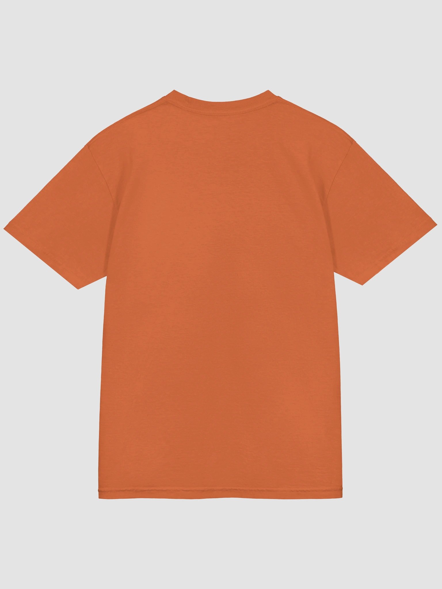 Fall Fun Kiwi T-Shirt product image (29)