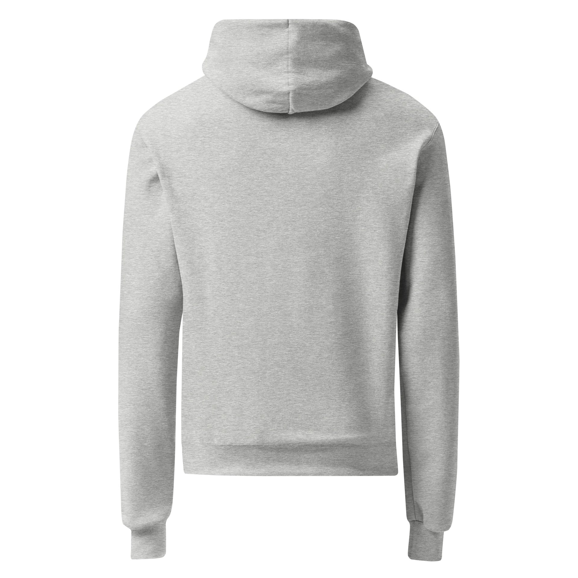 YSAGG Champion Hoodie (Small Letters) product image (2)