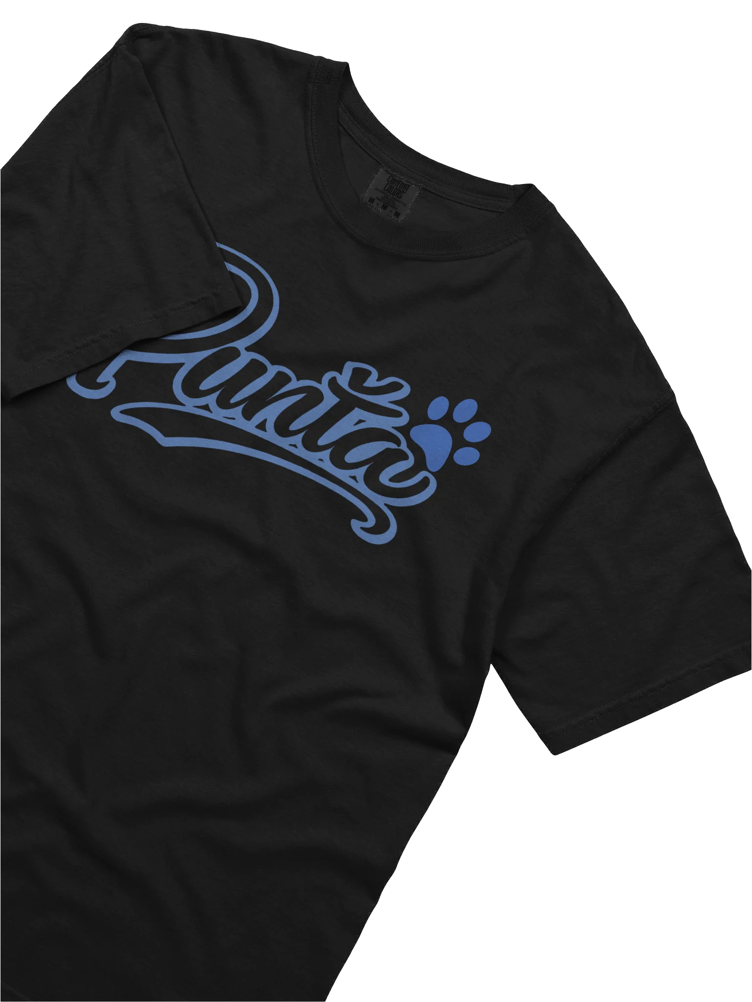 Punťa blue t-shirt product image (5)
