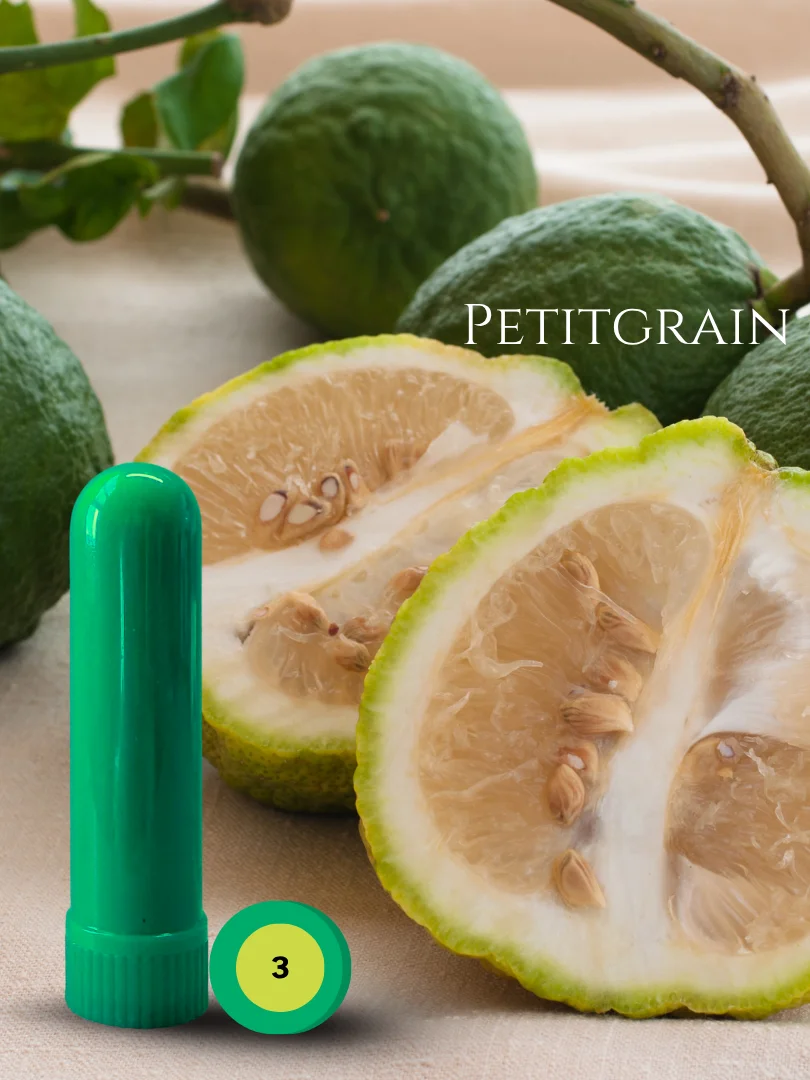 Olfaria Exotic Odor Training Kit | 5 Single-Note Essential Oils | Scent Education | Train Your Nose product image (4)