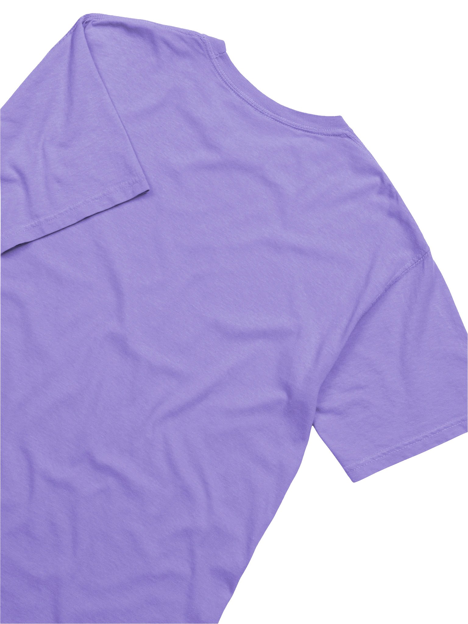 Fig Nature’s Candy Tee product image (4)