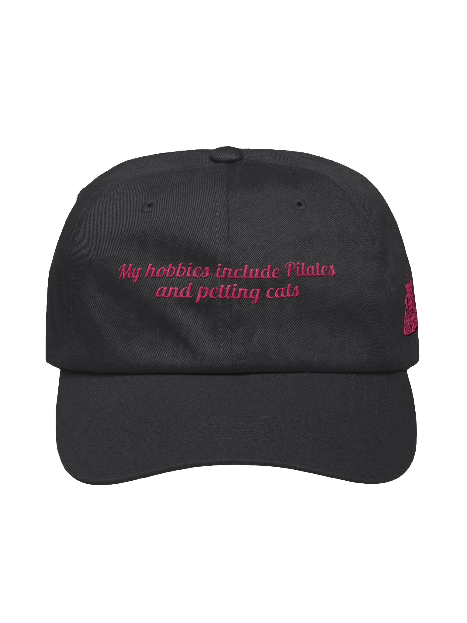 My Hobbies Include Pilates & Petting Cats - Embroidered Dad Hat product image (1)