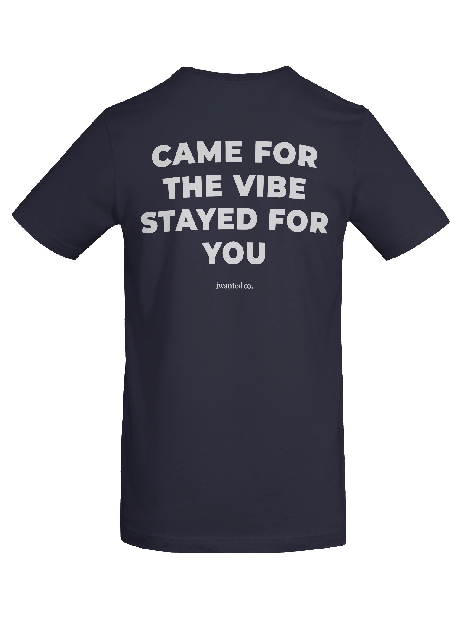 Came For The Vibe Stayed For You T-Shirt product image (9)