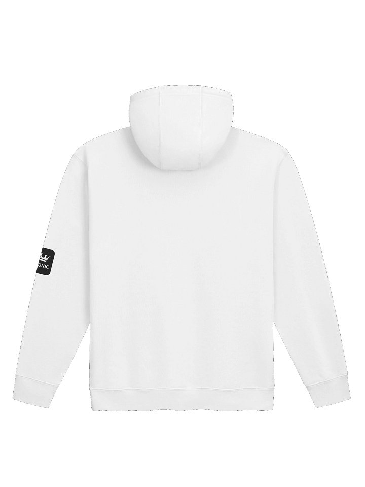 ICONIC Heritage Graphic Unisex Premium Pullover Hoodie product image (7)