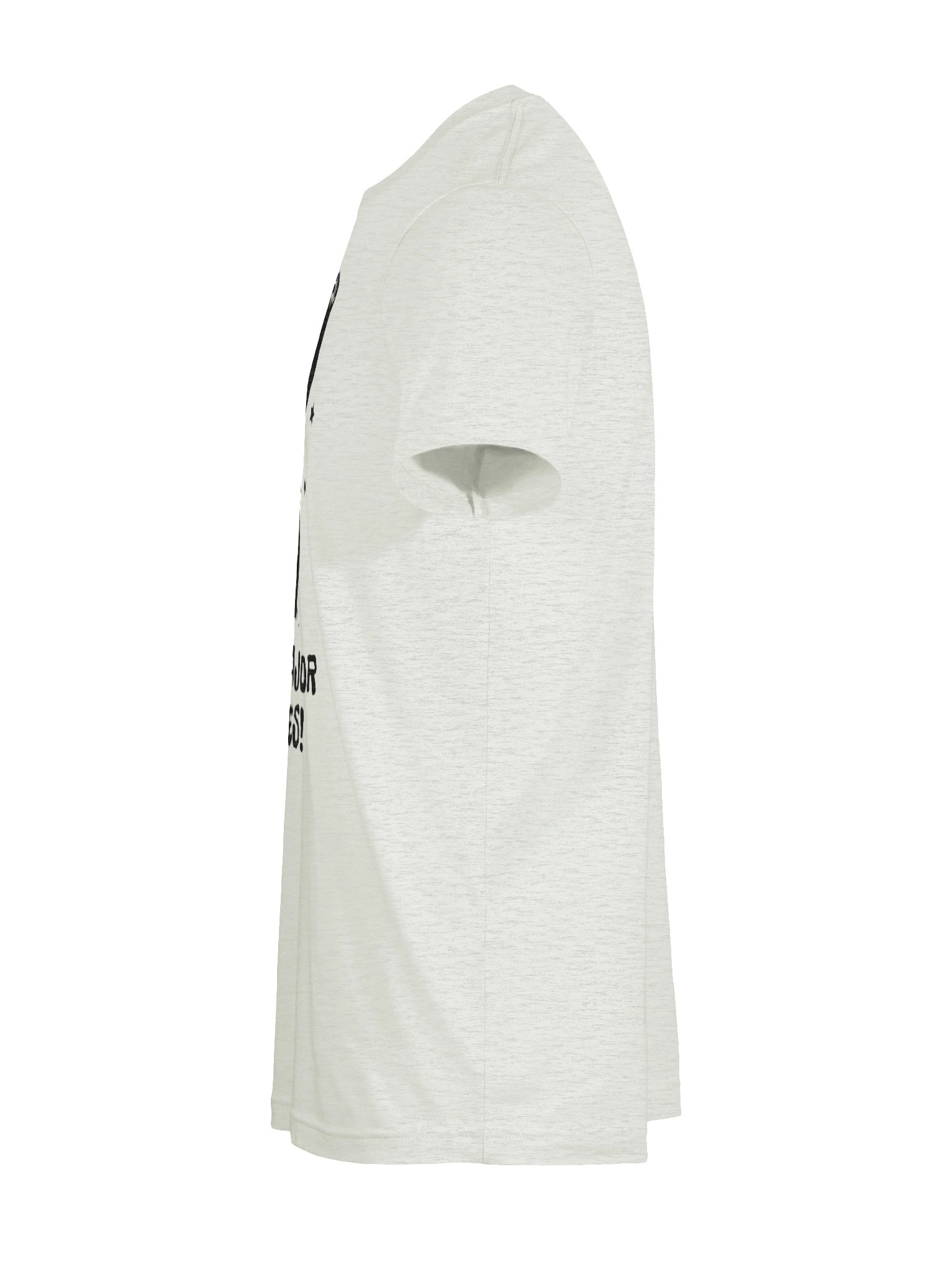 Fowlmouth URSA MAJOUR BITCHES! Bear Supersoft T-shirt product image (11)