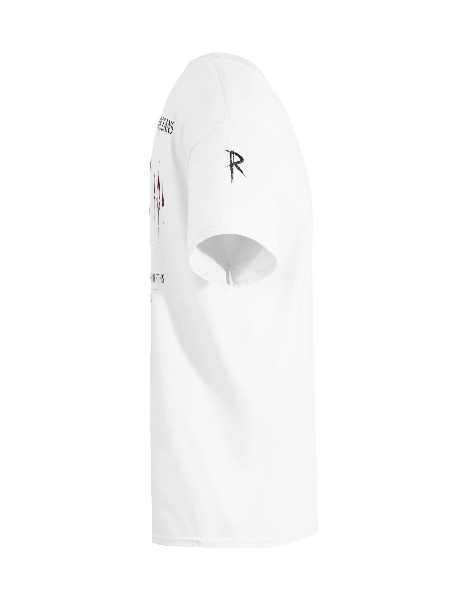 RBO-HW-Tee-Logo_FSB-W product image (60)