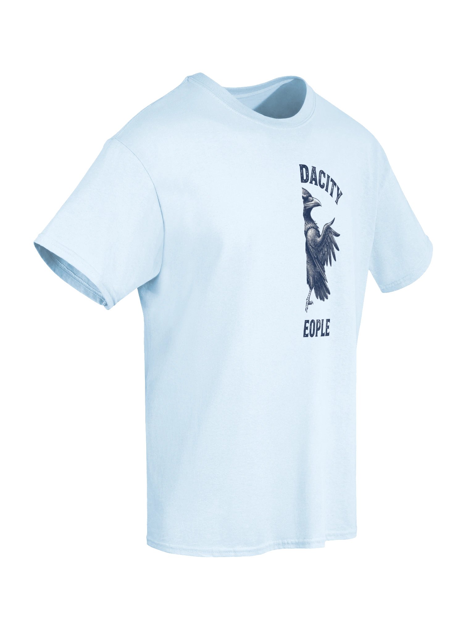 The Audacity Of Some People Shirt, Funny Crow Tee, Sarcastic Bird Lover Gift, Vintage Humor T-Shirt product image (17)