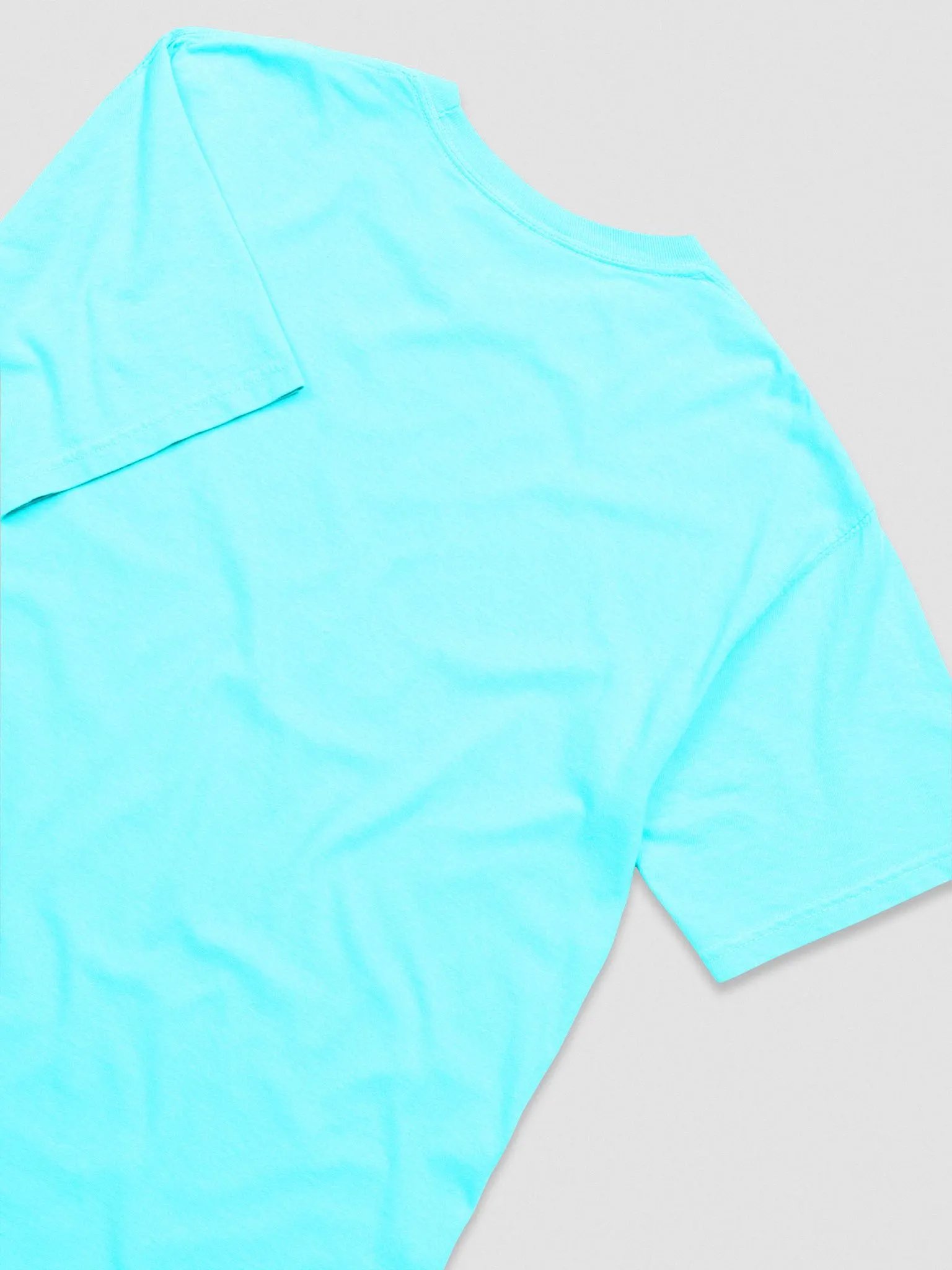 Comfort Colors Garment-Dyed Heavyweight T-Shirt: Exotic Shorthair product image (20)