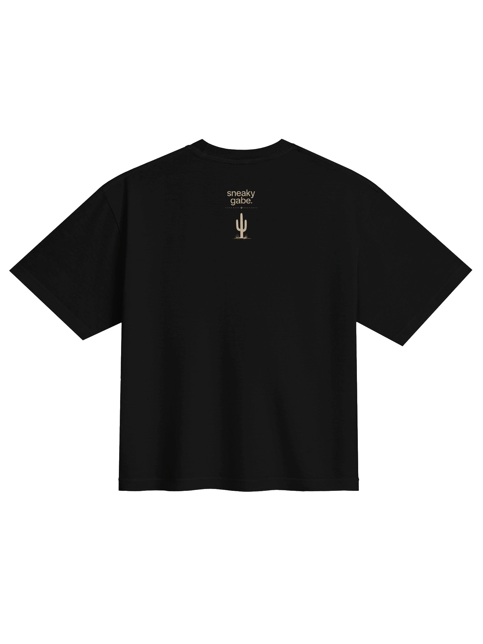 DESERT MISCHIEF BOXY TEE product image (2)