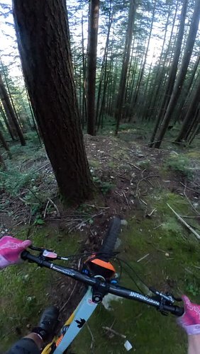 Cruising Through The Green Room!!! 

#biking #mountainbiking #mtb #pov #gopro