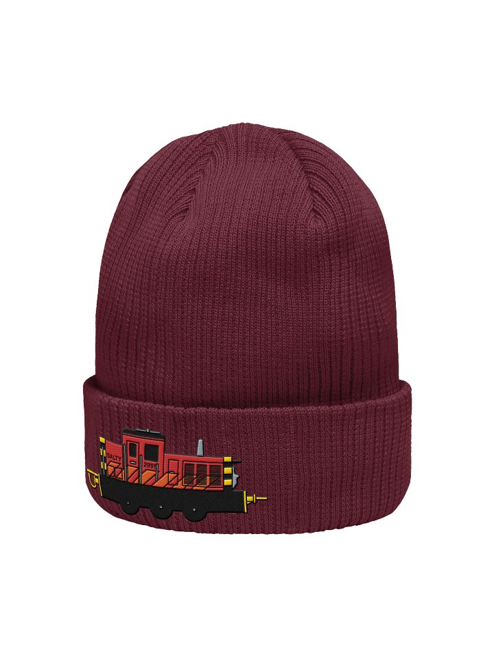 Salty Embroidered Beanie product image (2)