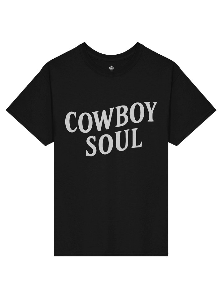 Cowboy Soul Texas Boxy Fit Unisex T-Shirt product image (6)