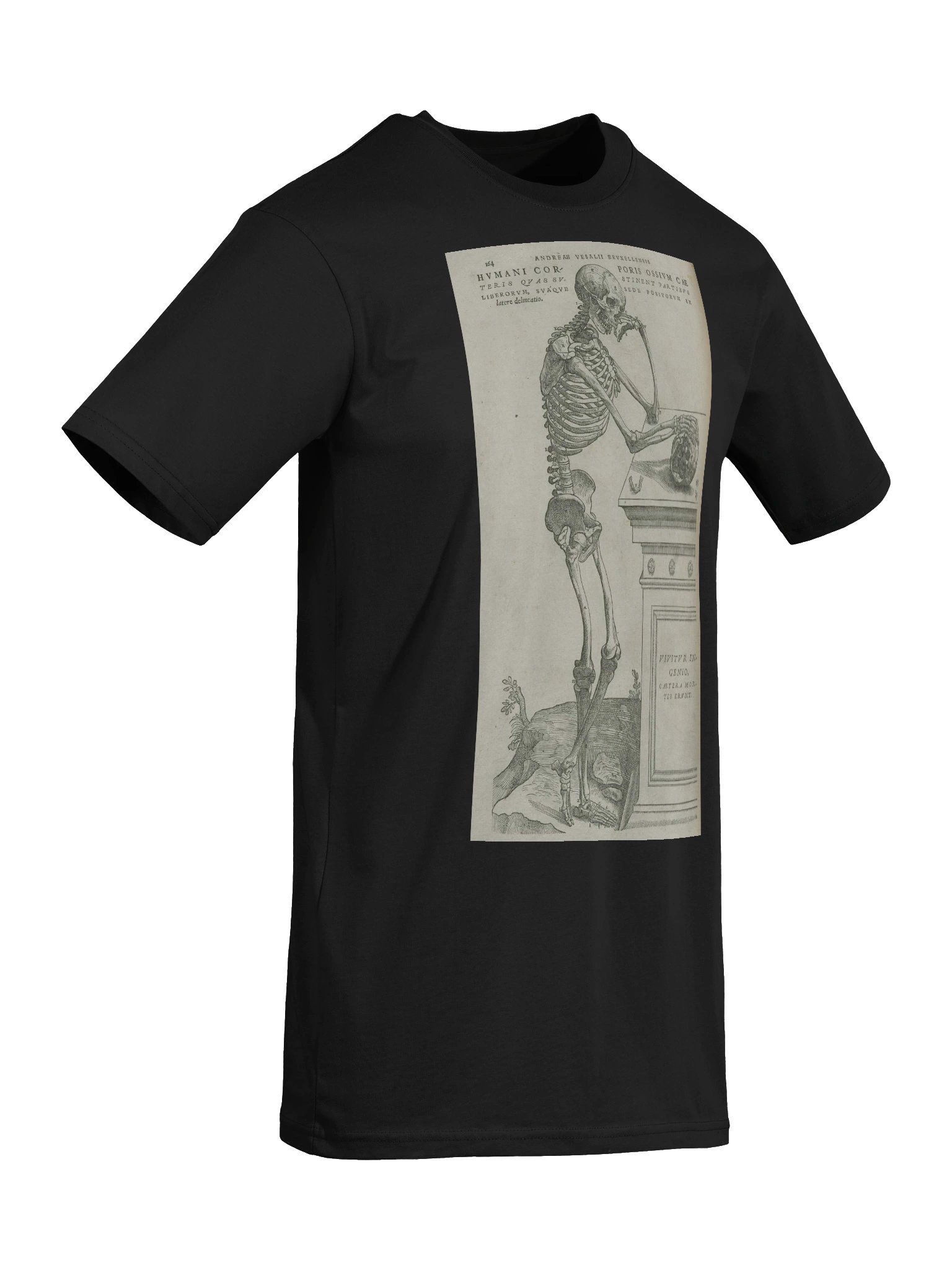 "Skeleton Pondering Mortality" by Andreas Vesalius. product image (6)