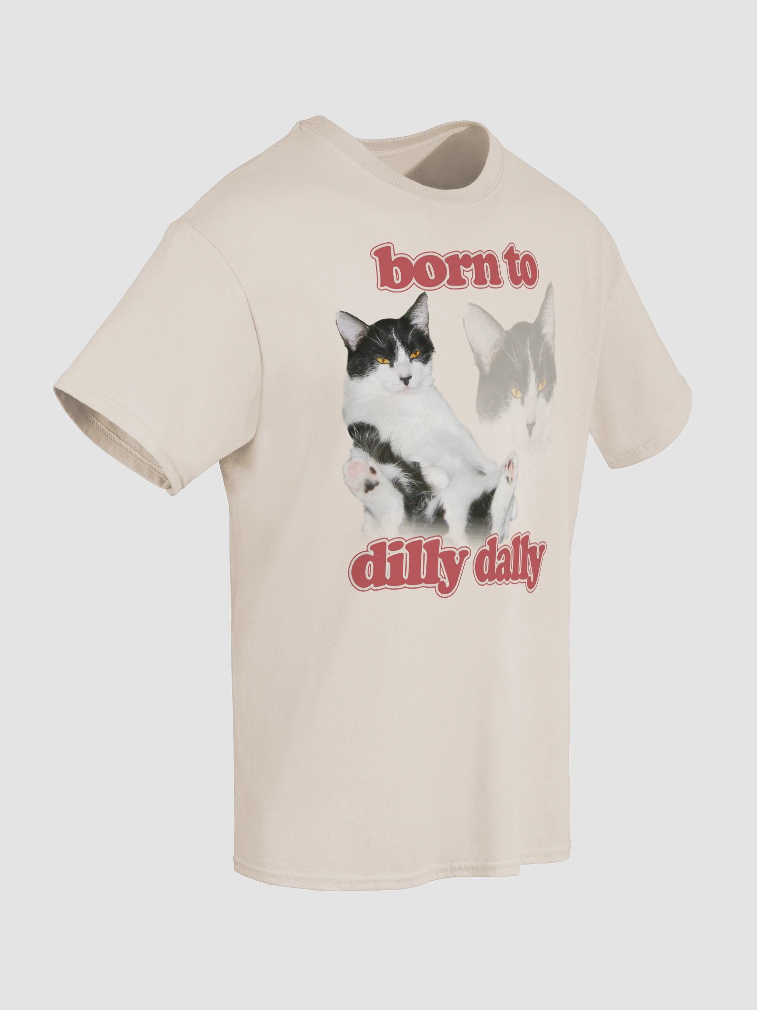 Born to Dilly Dally Cat T-shirt product image (44)