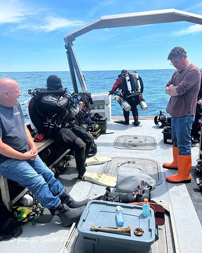 Nothing like a busy and beautiful day on deck.