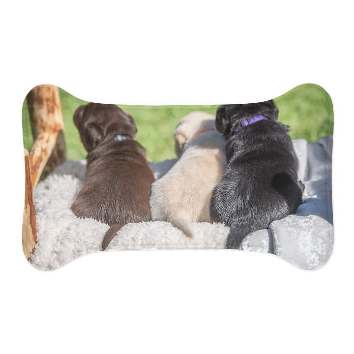 Dog Bowl Mat product image (2)