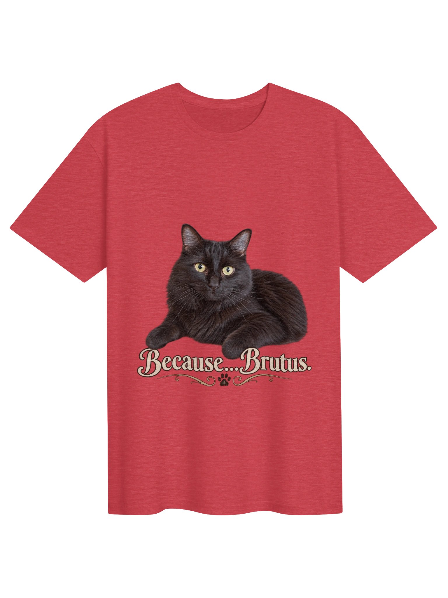 Because...Brutus Classic T-Shirt product image (1)