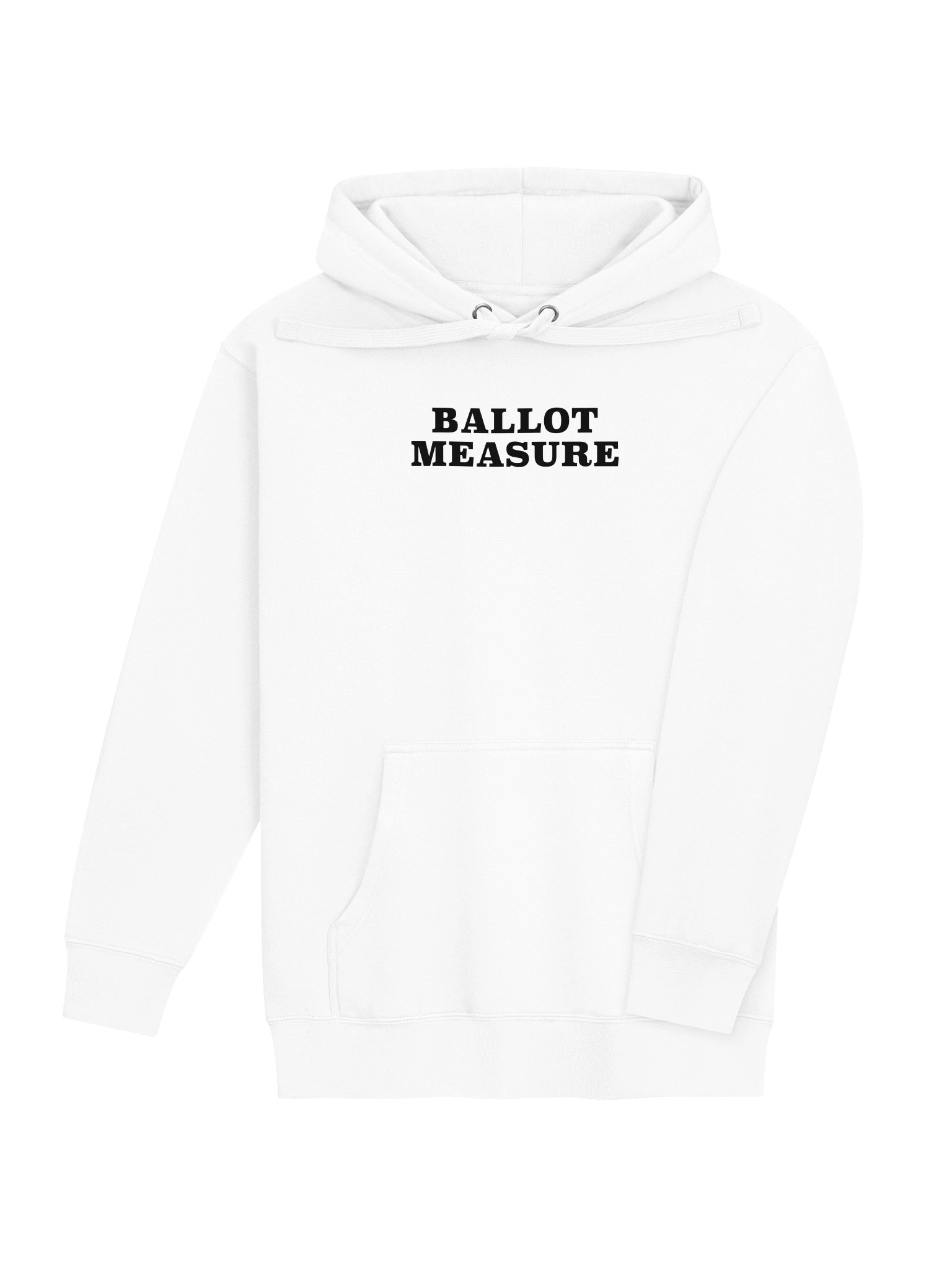 Ballot Measure Hoodie (Light) product image (4)