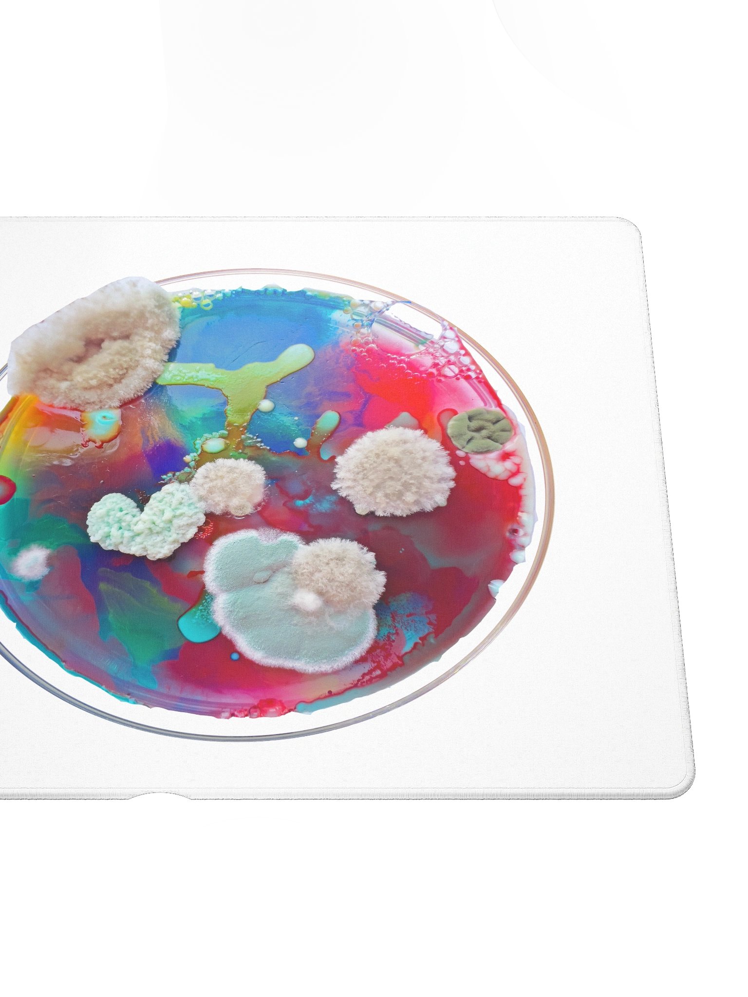 Gaming dish product image (5)