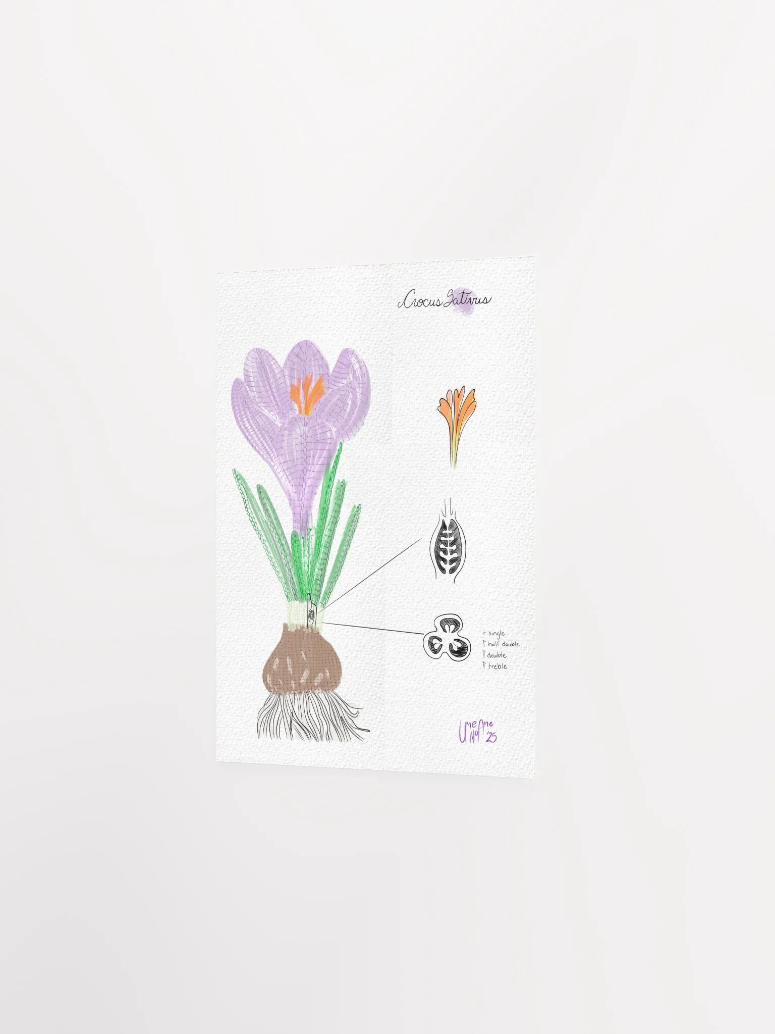 Crochet Vision: Crocus Print product image (4)
