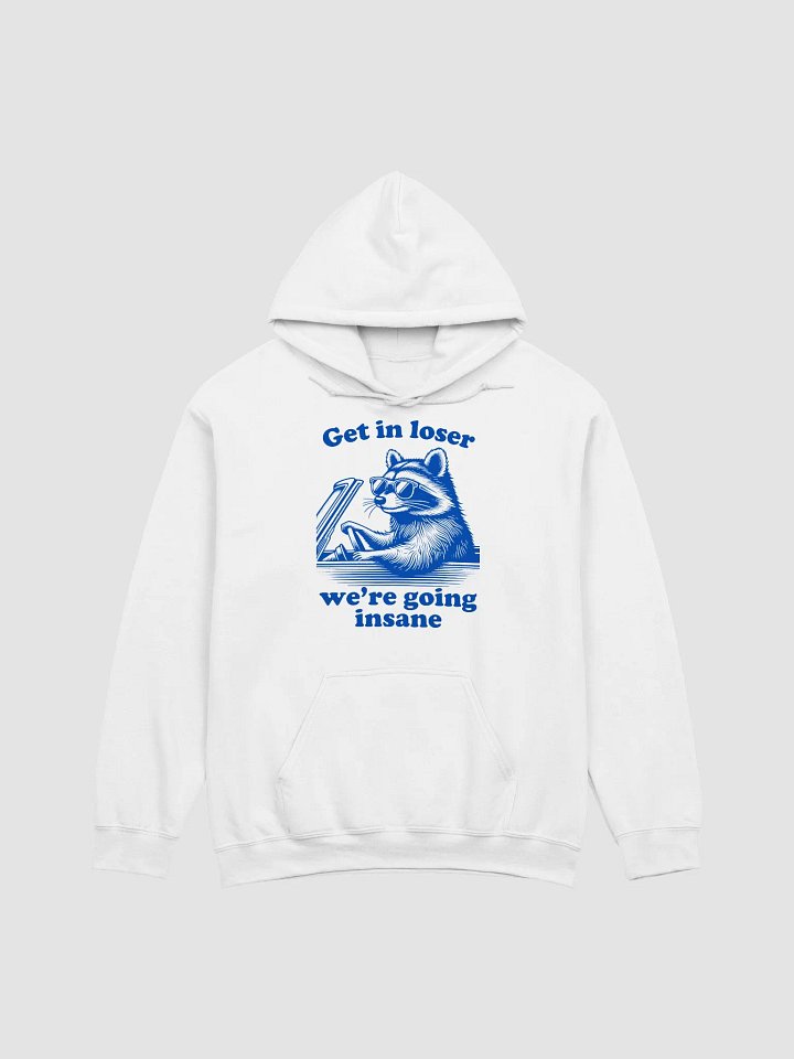 Get in loser we're going insane Hoodie product image (1)