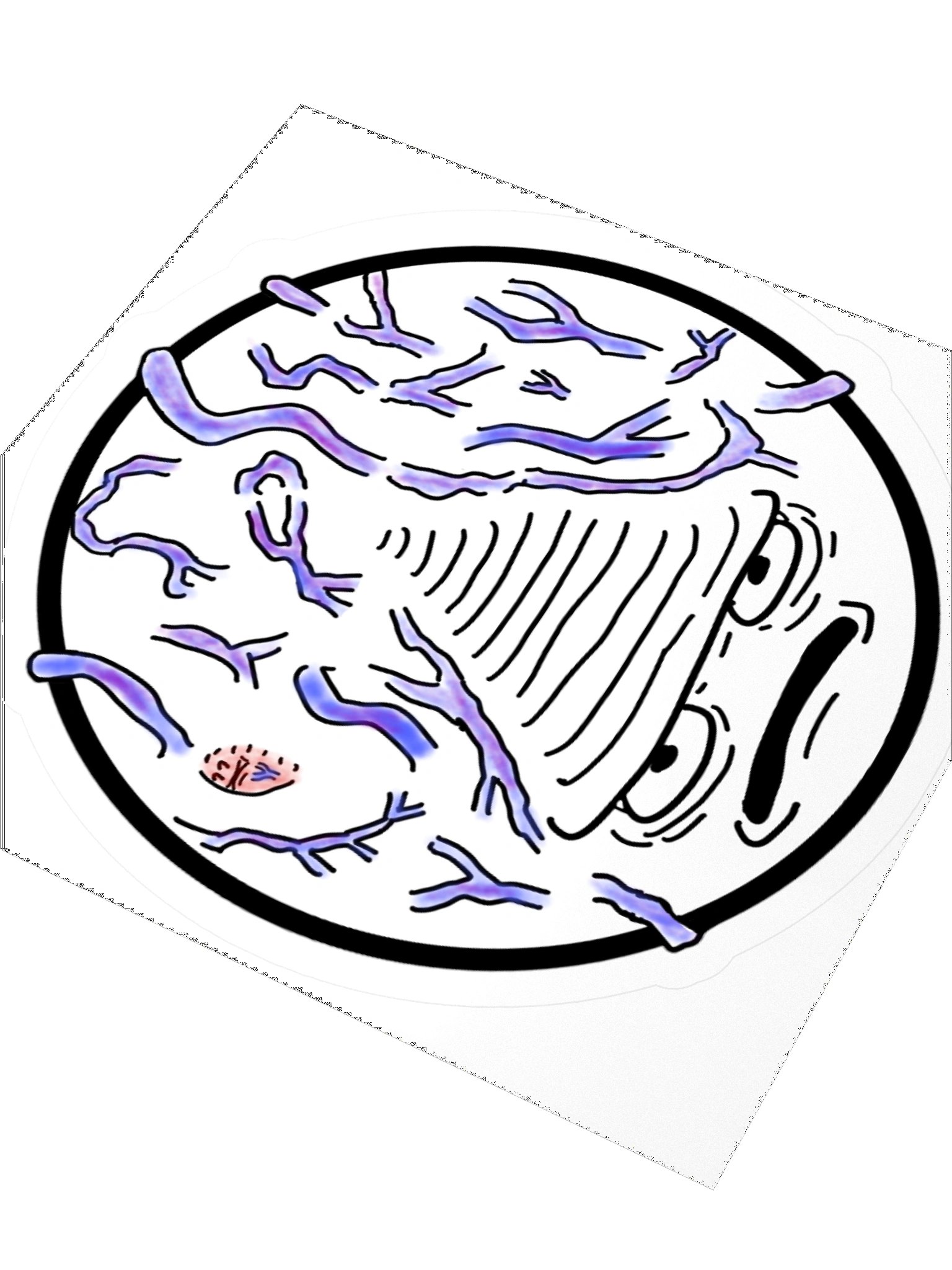 Big Brain VINNO Sticker product image (3)