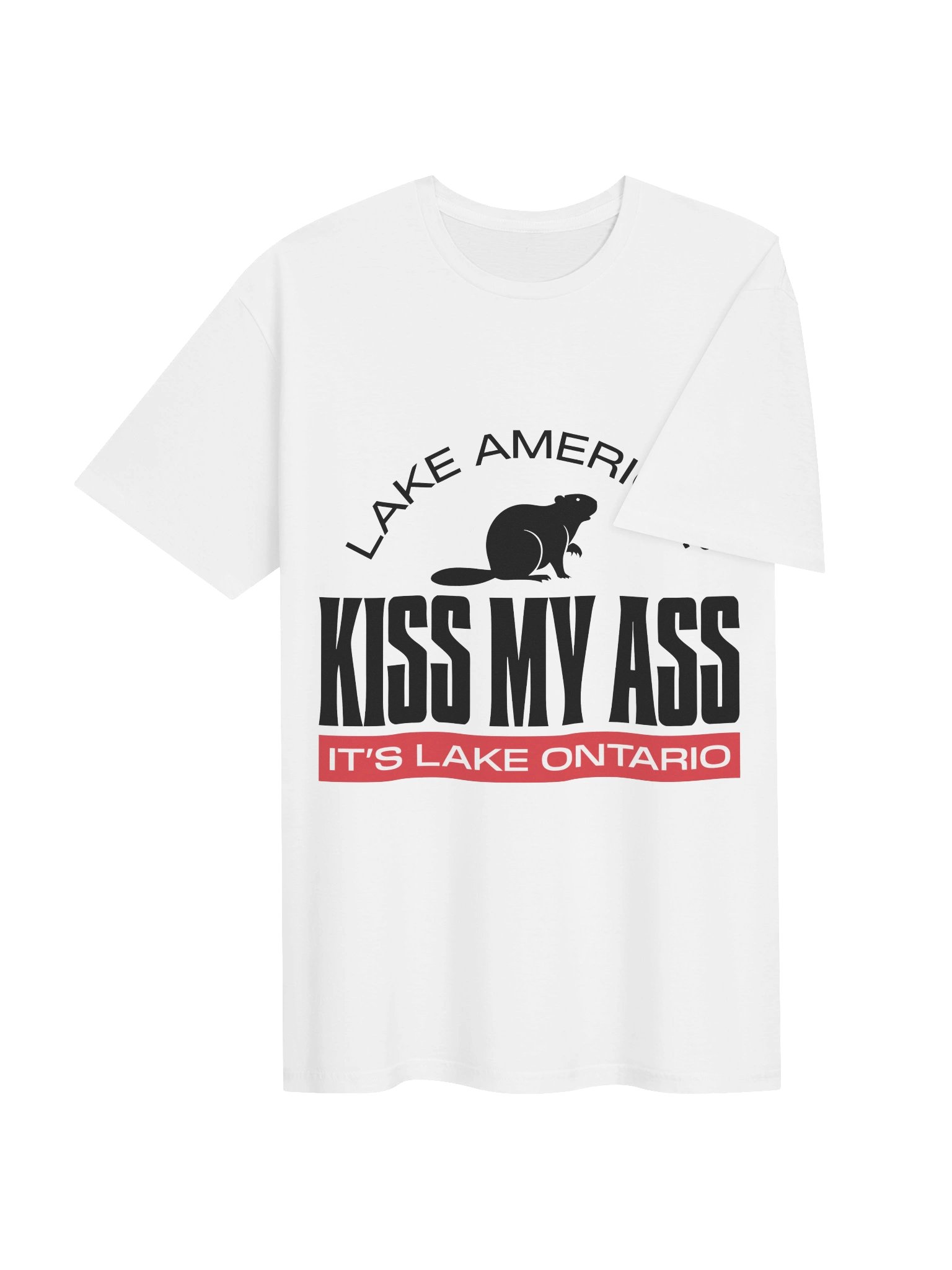 Kiss My Ass - It's Lake Ontario Tee product image (74)