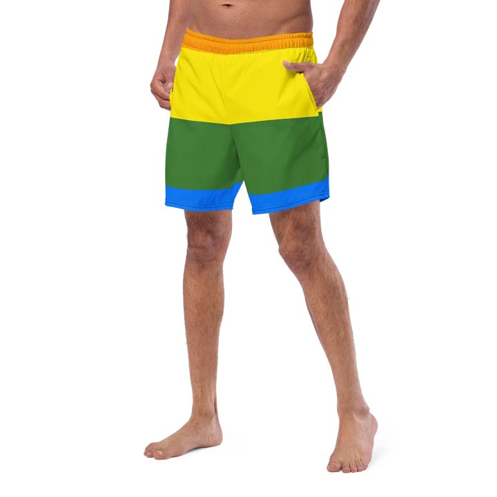 Sunset Stripes All-Over Swim Shorts product image (2)